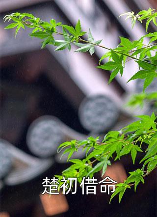 聂小鱼雷锋小说目录-超级外挂全文无删减版 聂小鱼雷锋小说目录-超级外挂全文无删减版