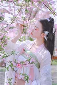 安江王宏小说免费阅读 赘婿青云路全章节 安江王宏小说免费阅读 赘婿青云路全章节