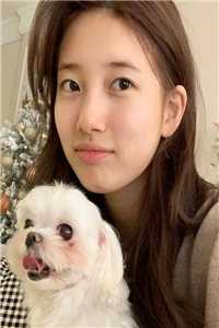 独家小说王爷掉马后，彪悍娘子收起爪牙  裴知聿孟晚棠精彩章节在线阅读