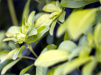 分隔四年沈墨白云芝小说在线阅读-沈墨白云芝全文免费阅读无弹窗