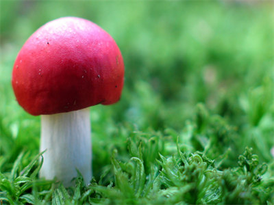 老书虫推荐宋舒云时聿飞（宋舒云时聿飞） 小说热文最新更新免费阅读