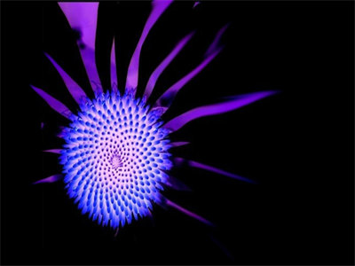 姚佳孟星哲小说全文_(姚佳孟星哲)最新章节