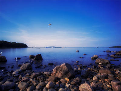 湛瑶湛竹傅承弼（自渡命格）全文免费阅读-湛瑶湛竹傅承弼最新章节在线阅读
