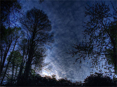 林夕秦钊渊（重生七零团宠小娇包）耽美微小说-重生七零团宠小娇包(林夕秦钊渊)是什么小说