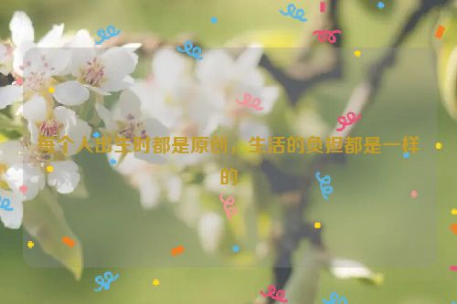 每个人出生时都是原创，生活的负担都是一样的