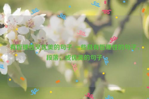 有哲理性又优美的句子 一些具有哲理性的句子，段落，或优美的句子