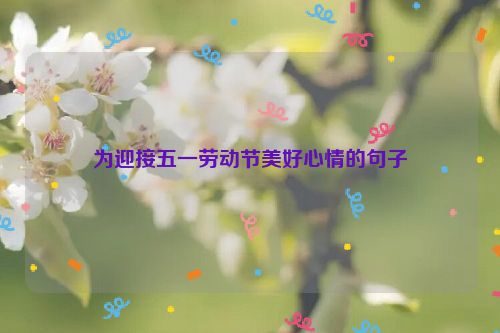 为迎接五一劳动节美好心情的句子