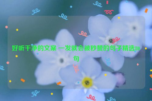 好听干净的文案 一发就会被秒赞的句子精选80句