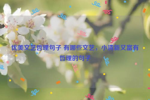 优美文艺哲理句子 有哪些文艺，小清新又富有哲理的句子