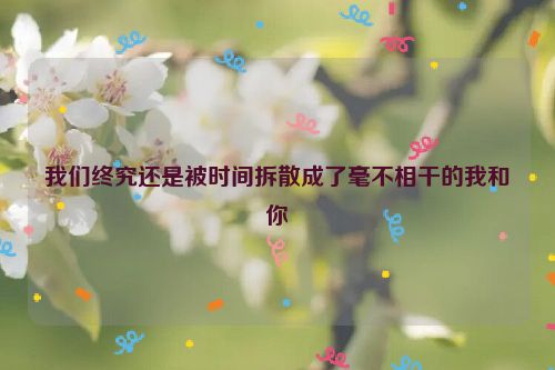 我们终究还是被时间拆散成了毫不相干的我和你