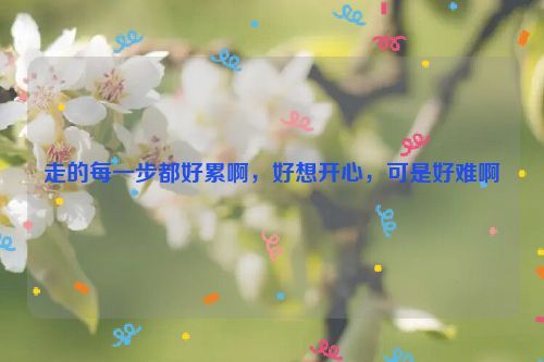 走的每一步都好累啊，好想开心，可是好难啊