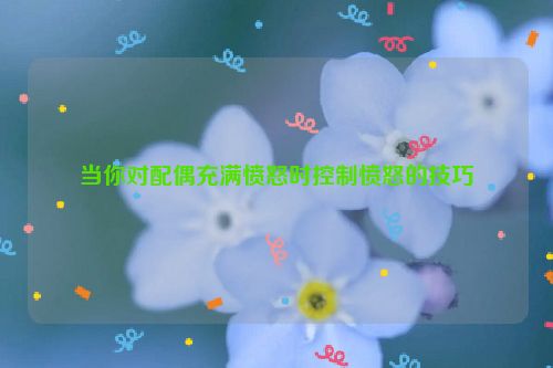 当你对配偶充满愤怒时控制愤怒的技巧
