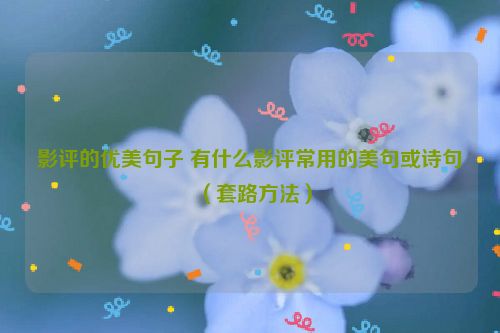 影评的优美句子 有什么影评常用的美句或诗句（套路方法）