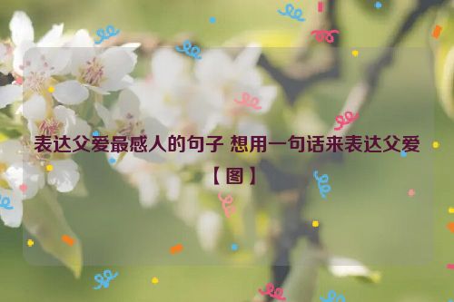 表达父爱最感人的句子 想用一句话来表达父爱【图】