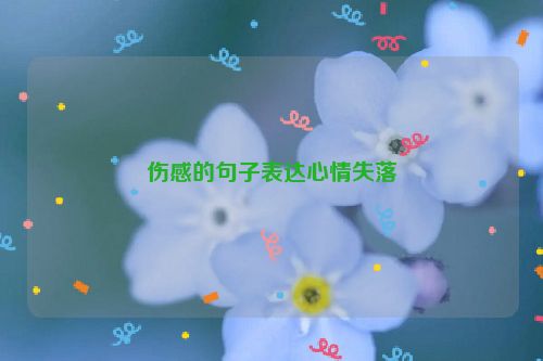 伤感的句子表达心情失落