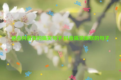 适合抖音发的搞笑句子 抖音搞笑幽默的句子