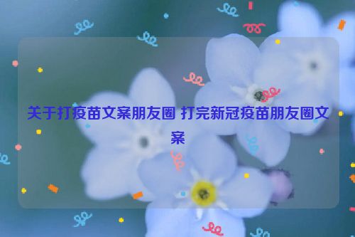 关于打疫苗文案朋友圈 打完新冠疫苗朋友圈文案