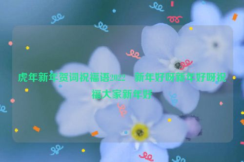 虎年新年贺词祝福语2022   新年好呀新年好呀祝福大家新年好