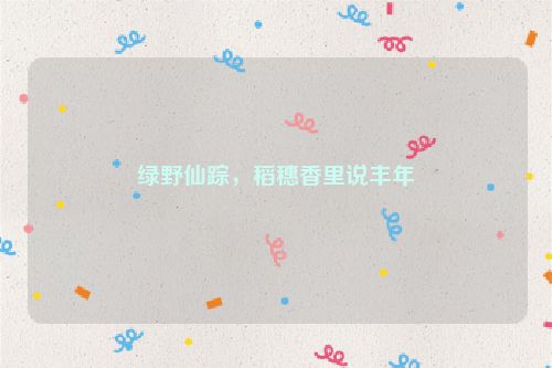 绿野仙踪，稻穗香里说丰年