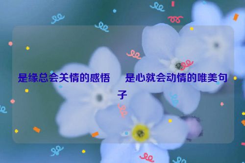 是缘总会关情的感悟     是心就会动情的唯美句子