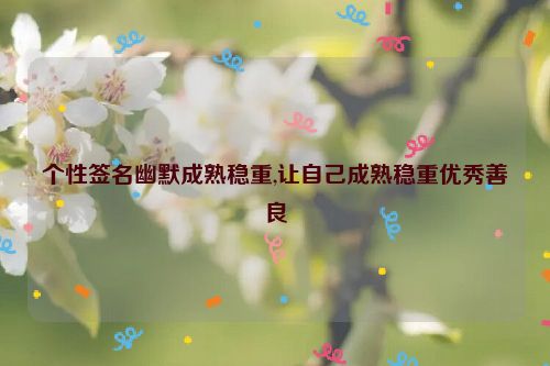 个性签名幽默成熟稳重,让自己成熟稳重优秀善良