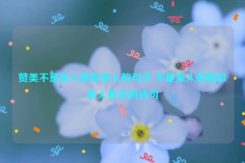 赞美不是亲人胜似亲人的句子 不是亲人但胜似亲人有关的诗句