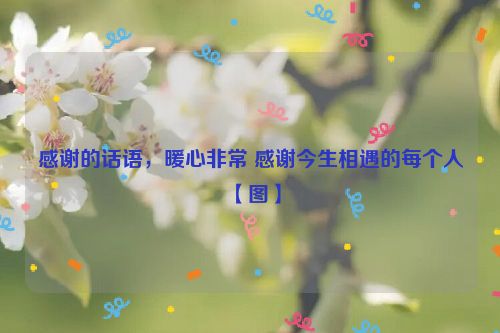 感谢的话语，暖心非常 感谢今生相遇的每个人【图】
