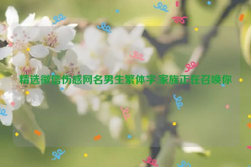 精选微信伤感网名男生繁体字,家族正在召唤你