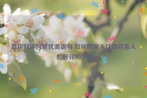 酒店好评回复优美语句 如何回复入住酒店客人的好评句子？