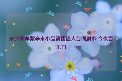 宋少卿牟紫辛未小品销售达人台词剧本 今夜百乐门