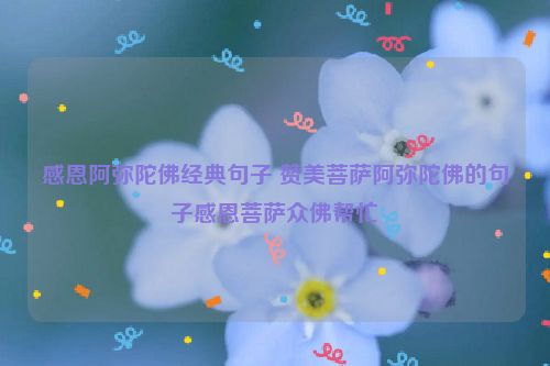 感恩阿弥陀佛经典句子 赞美菩萨阿弥陀佛的句子感恩菩萨众佛帮忙