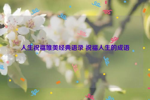 人生祝福唯美经典语录 祝福人生的成语