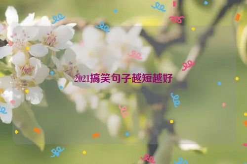 2021搞笑句子越短越好
