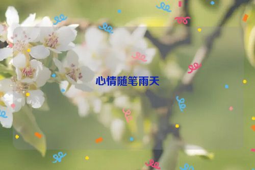 心情随笔雨天