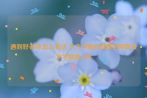 遇到好老师,怎么表达 八个字暖心感谢老师简短文字精选42句