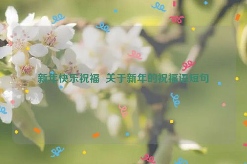 新年快乐祝福  关于新年的祝福语短句