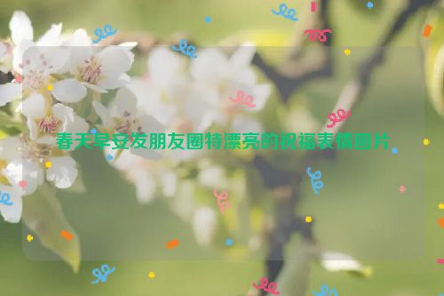 春天早安发朋友圈特漂亮的祝福表情图片