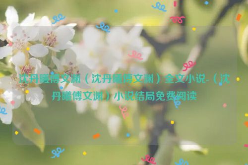 沈丹曦傅文渊（沈丹曦傅文渊）全文小说-（沈丹曦傅文渊）小说结局免费阅读