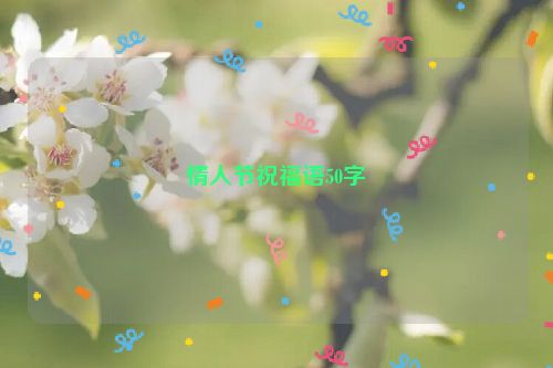 情人节祝福语50字