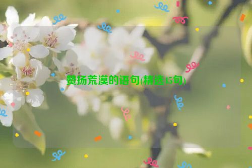 赞扬荒漠的语句(精选45句)