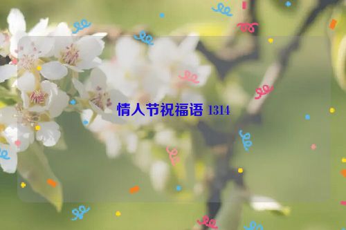 情人节祝福语 1314