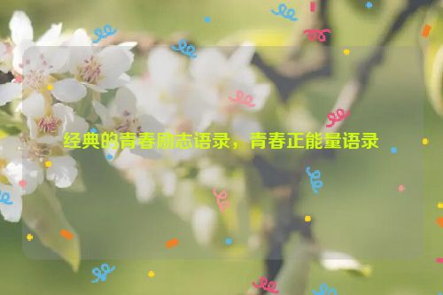 经典的青春励志语录，青春正能量语录