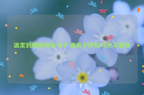 温柔到爆的神仙句子 森系干净短句无关爱情