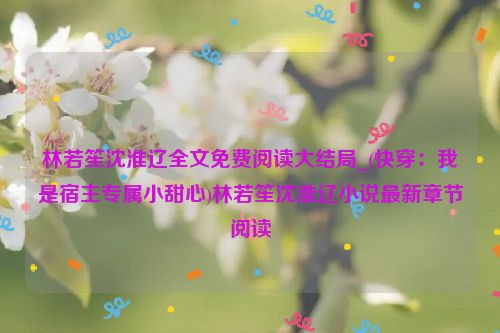 林若笙沈淮辽全文免费阅读大结局_(快穿：我是宿主专属小甜心)林若笙沈淮辽小说最新章节阅读