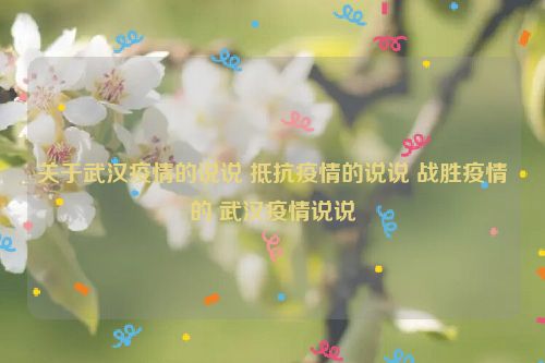 关于武汉疫情的说说 抵抗疫情的说说 战胜疫情的 武汉疫情说说