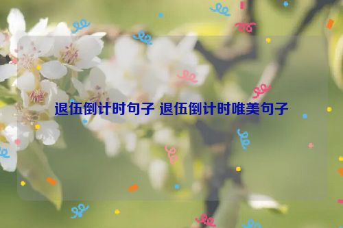 退伍倒计时句子 退伍倒计时唯美句子