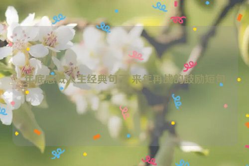 年底感慨人生经典句子 来年再战的鼓励短句