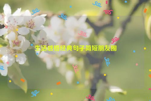 生活感悟经典句子简短朋友圈