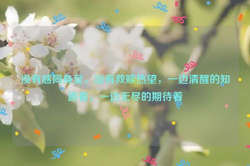 没有感同身受，没有救赎热望，一边清醒的知道着，一边无尽的期待着