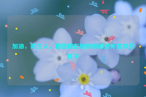 加油，陌生人，相信现在的你依旧是你喜欢的样子